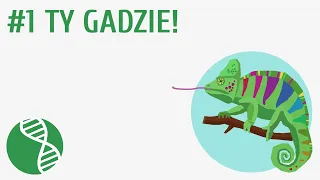 Ty gadzie! #1 [ Gady ]