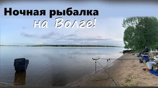 Ночная рыбалка на реке Волга, Иваньковское водохранилище. Не ловим леща, амура, карпа и сазана ))