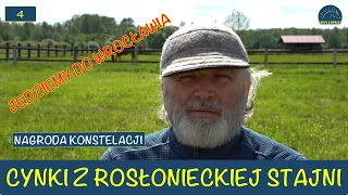 Cynki ze stajni I 4 Dzień Wyścigowy Wrocław I Sezon 2022 Adam Wyrzyk Stajnia Rosłońce