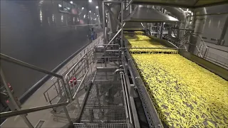 Крупнейшее производство картофеля фри в России. Эксплуатация промышленных полов SIC. Argelith.