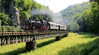 Dampfbahn Fränkische Schweiz mit 64 491 und ELNA 6