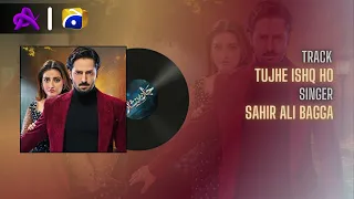 Tujhe Ishq Ho | Original Soundtrack " Jaan Nisar " | Danish Taimoor - Hiba Bukhari | Geo TV
