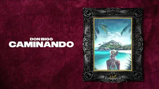 DON BIGG - Caminando | Official Lyric Video (Clean Version)