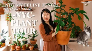 Plant Tour Winter 2021l NYC Apartment 100+ Houseplant Collection Pt. 2