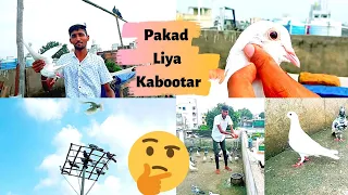 Gola 🕊Kabootar - Pakda🔥 Bade aasani Se || Fancy Gola 🕊kabootar!!!! Catch😜 Gola Pigeon ||