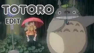 Lil Totoro Edit