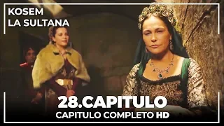 Kosem La Sultana | Capítulo 28