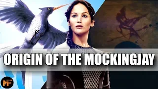 Origin of the Mockingjay & its Deeper Meaning in the Series (Hunger Games Explained)