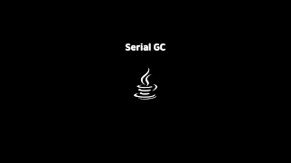 JVM serial garbage collector #jvm #java