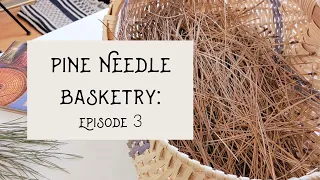 Pine Needle Basketry: Gathering and Cleaning Pine Needles