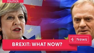 Brexit Explained - An Article 50 special as Theresa May pulls the trigger on EU membership