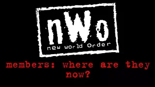 NWO Members: Where Are They Now? (21 Years Later)