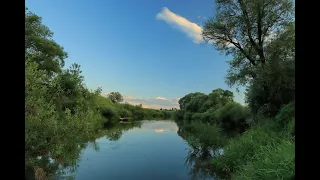 Течет Протва издалека