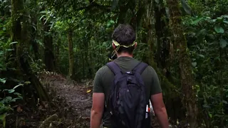 Tour de un día completo en la Amazonía