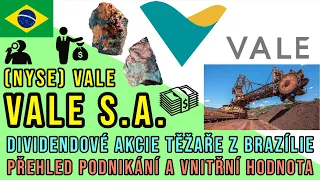 Vale S.A. - investice do dividendových akcií těžaře železné rudy z Brazílie 2021. Vyplatí se?