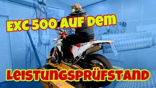 WAS DRÜCKEN DIE EXC'S?! Leistungsprüfstand bei PIRATE RACING