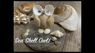 DIY Sea Shell Owl Tutorial | Easy Sea Shell Craft | How to make Sea Shell Owl | Tropical Costal Art