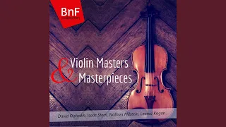 Violin Concerto in E Minor, Op. 64, MWV O14: I. Allegro molto appassionato