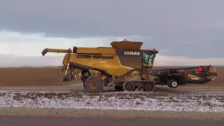 Claas Combines Soybean Harvest and Snow 2019 11 04