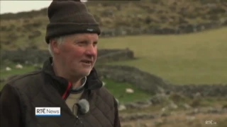 RTÉ Irish Farmer in County Kerry is missing sheep!! Strong accent