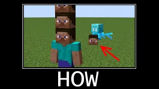 WAIT WHAT (Minecraft memes) #4