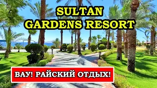 Обзор и отзывы о Sultan Gardens Resort в Шарм-эль-Шейхе | Все Плюсы и Минусы