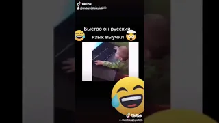 Быстро он выучил русский язык