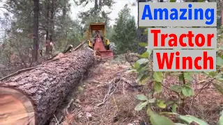 Loading Skidding Large Sugar Pine Logs Farmi 501 Winch Tractor Logging for Woodmizer LT15 Sawmill