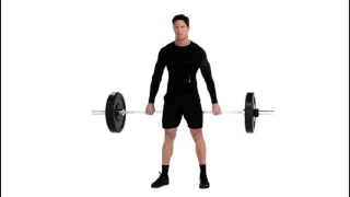 Barbell Hack Squat Exercise