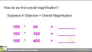 Microscope Notes