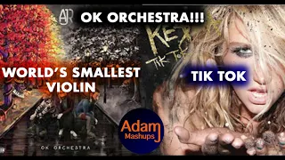 Tik Tok's Smallest Violin [AJR vs. KESHA] OK ORCHESTRA MASHUP!