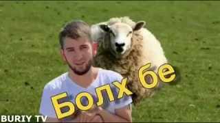 Новые Чеченские приколы / 2019 часть 1