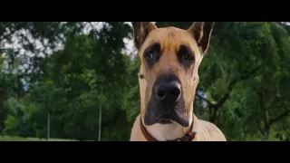 Marmaduke - Trailer HD