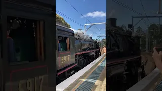 Kiama Picnic Train - front backing in