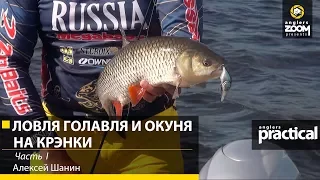 Алексей Шанин. Ловля голавля и окуня на крэнки. 1 часть. Anglers Practical