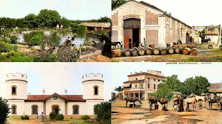 Photos des fermes Boufarik en 1890 et 1910.