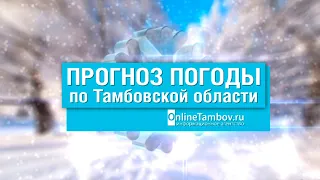 Прогноз погоды в Тамбове и Тамбовской области на 15 февраля 2021 года