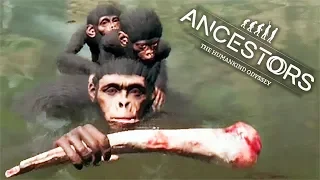 ПЕРЕМЕЩАЕМСЯ ВСЕЙ СТАЕЙ ► Ancestors: The Humankind Odyssey #16