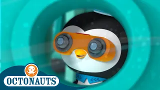 Octonauts - Ocean Camp | Cartoons for Kids | Underwater Sea Education