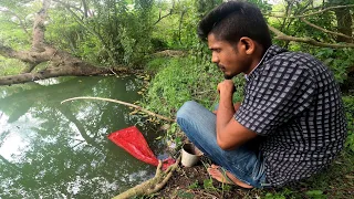 Hook Fishing In Village 🇱🇰  | Amazing Fishing Videos | Sri Lanka
