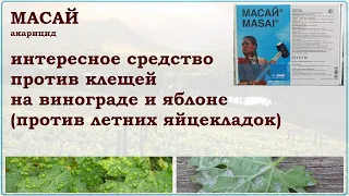 Масай - системное средство для борьбы с клещами и их яйцекладками на яблоне и винограде. Обзор