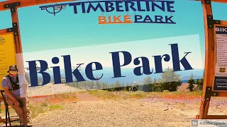 Timberline Bike Park - Mt. Hood, OR