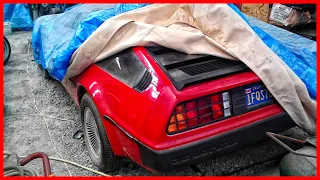 Time Capsule: 1981 DeLorean DMC-12 with 981 miles. Amazing Barn Finds