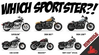 The Harley-Davidson Sportster - Which One?!