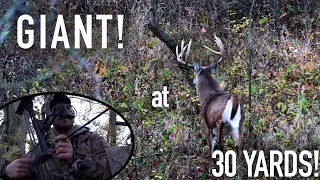 The BIGGEST TYPICAL We've EVER SEEN! | Missouri MONSTER At 30Yds!