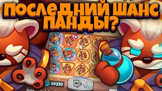 RUSH ROYALE | ДАЮ ПОСЛЕДНИЙ ШАНС МАСТЕРУ СТИХИЙ | ЗАБЕРИТЕ ЕГО ОБРАТНО И ВЫЗОВИТЕ МНЕ СКОРУЮ