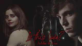 Addie & Luc |  Did you think this was love?