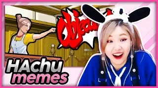 There are so many memes?! - HAchubby Memes!