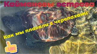 6+ Как мы плавали с Черепахами ( Каймановы острова) #101