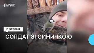 Український захисник Назар Гушпет зняв відео зі синичкою